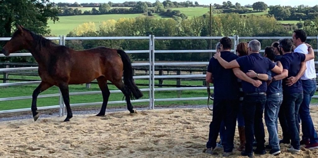 Equicoaching - Un groupe de personnes, équipe, dans le manège d'un cheval.